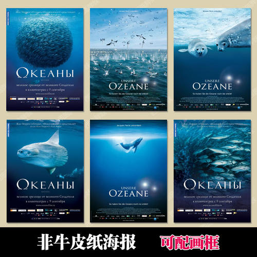 新的驾驶执照怎么购买